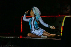 Kostümsitzungen 2017