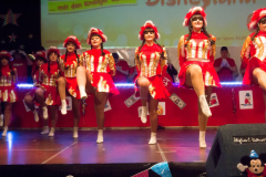 kps-1-293_25242027507_o