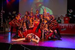 Kostümsitzungen 2019