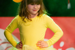 Kostümsitzungen 2020