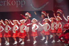 20260124Canon-RF-100-500mm-F4.5-7.1-L-IS-USM004-Gross