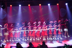 20260124Canon-RF-100-500mm-F4.5-7.1-L-IS-USM010-Gross