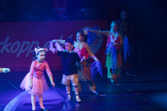 20260124Canon-RF-100-500mm-F4.5-7.1-L-IS-USM028-Gross