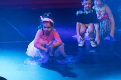 20260124Canon-RF-100-500mm-F4.5-7.1-L-IS-USM029-Gross