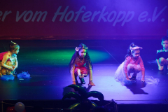 20260124Canon-RF-100-500mm-F4.5-7.1-L-IS-USM034-Gross