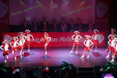 20260124Canon-RF-100-500mm-F4.5-7.1-L-IS-USM053-Gross