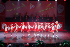 20260124Canon-RF-100-500mm-F4.5-7.1-L-IS-USM054-Gross