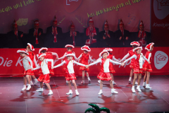 20260124Canon-RF-100-500mm-F4.5-7.1-L-IS-USM056-Gross