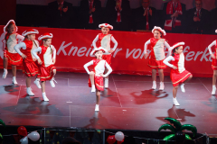 20260124Canon-RF-100-500mm-F4.5-7.1-L-IS-USM067-Gross