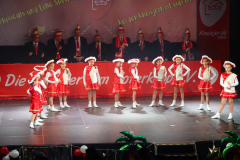 20260124Canon-RF-100-500mm-F4.5-7.1-L-IS-USM079-Gross