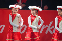 20260124Canon-RF-100-500mm-F4.5-7.1-L-IS-USM081-Gross