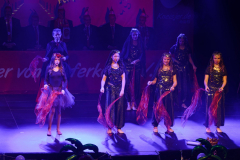 20260124Canon-RF-100-500mm-F4.5-7.1-L-IS-USM085-Gross