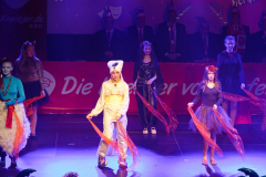 20260124Canon-RF-100-500mm-F4.5-7.1-L-IS-USM087-Gross