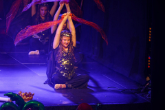 20260124Canon-RF-100-500mm-F4.5-7.1-L-IS-USM093-Gross