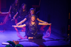 20260124Canon-RF-100-500mm-F4.5-7.1-L-IS-USM094-Gross