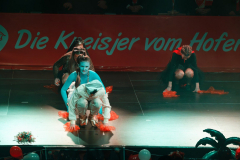 20260124Canon-RF-100-500mm-F4.5-7.1-L-IS-USM095-Gross