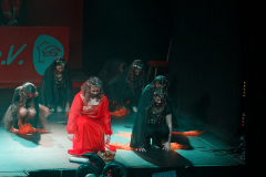 20260124Canon-RF-100-500mm-F4.5-7.1-L-IS-USM096-Gross