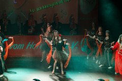 20260124Canon-RF-100-500mm-F4.5-7.1-L-IS-USM100-Gross