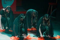 20260124Canon-RF-100-500mm-F4.5-7.1-L-IS-USM107-Gross