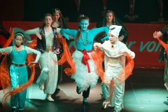 20260124Canon-RF-100-500mm-F4.5-7.1-L-IS-USM108-Gross