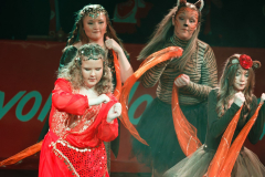 20260124Canon-RF-100-500mm-F4.5-7.1-L-IS-USM109-Gross