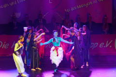 20260124Canon-RF-100-500mm-F4.5-7.1-L-IS-USM113-Gross