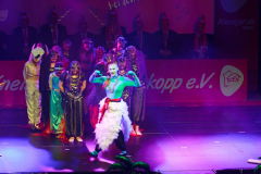 20260124Canon-RF-100-500mm-F4.5-7.1-L-IS-USM114-Gross