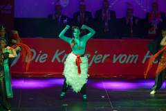 20260124Canon-RF-100-500mm-F4.5-7.1-L-IS-USM123-Gross