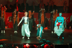 20260124Canon-RF-100-500mm-F4.5-7.1-L-IS-USM132-Gross