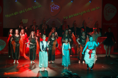 20260124Canon-RF-100-500mm-F4.5-7.1-L-IS-USM133-Gross