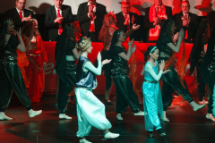 20260124Canon-RF-100-500mm-F4.5-7.1-L-IS-USM134-Gross