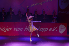 20260124Canon-RF-100-500mm-F4.5-7.1-L-IS-USM164-Gross