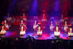 20260125Canon-RF-100-500mm-F4.5-7.1-L-IS-USM195-Gross