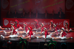 20260125Canon-RF-100-500mm-F4.5-7.1-L-IS-USM196-Gross