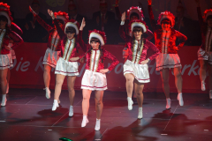 20260125Canon-RF-100-500mm-F4.5-7.1-L-IS-USM198-Gross