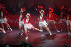 20260125Canon-RF-100-500mm-F4.5-7.1-L-IS-USM199-Gross