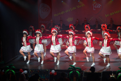 20260125Canon-RF-100-500mm-F4.5-7.1-L-IS-USM202-Gross