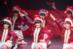 20260125Canon-RF-100-500mm-F4.5-7.1-L-IS-USM204-Gross