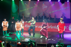 20260125Canon-RF-100-500mm-F4.5-7.1-L-IS-USM224-Gross