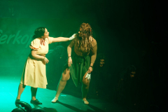 20260125Canon-RF-100-500mm-F4.5-7.1-L-IS-USM236-Gross