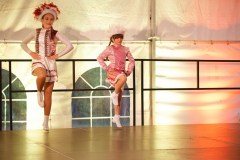 Sommersitzung0251