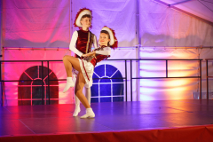 Sommersitzung0346