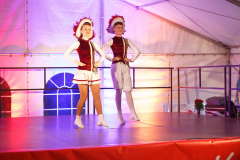 Sommersitzung0353