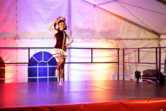 Sommersitzung0380