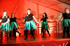 Sommersitzung0488