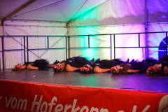 Sommersitzung0546