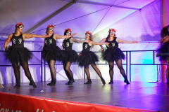 Sommersitzung0551