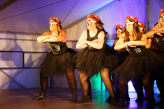 Sommersitzung0552